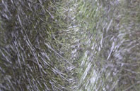 Balnacoil fibreglass roof work